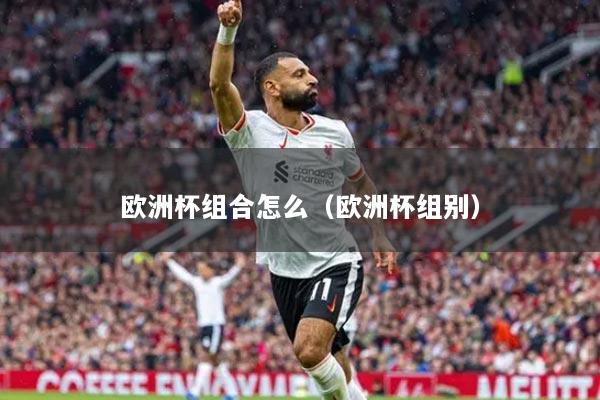 欧洲杯组合怎么（欧洲杯组别）