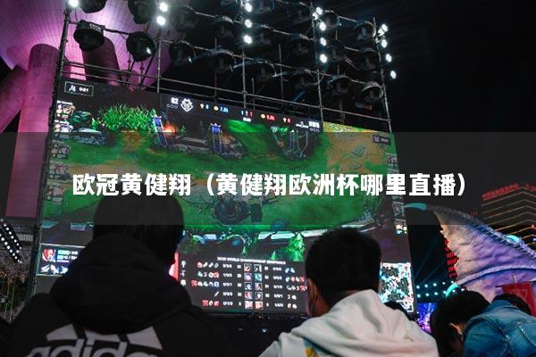 欧冠黄健翔（黄健翔欧洲杯哪里直播）
